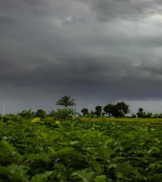 Red Alert : २४ तासांत पुन्हा मुसळधार! धाराशिव जिल्ह्यांसाठी पुढील २४ तास धोक्याचे, हवामान खात्याचा इशारा