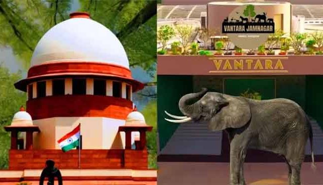 'वनतारा'चा मोठा विजय! रिलायन्सच्या ‘वनतारा’ला सर्वोच्च न्यायालयाची ‘क्लीन चिट’