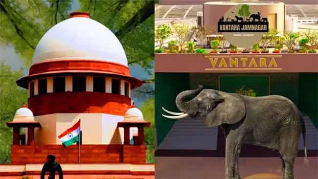 ‘वनतारा’चा मोठा विजय! रिलायन्सच्या ‘वनतारा’ला सर्वोच्च न्यायालयाची ‘क्लीन चिट’
