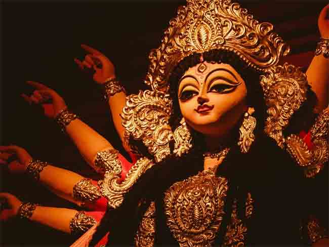 ही फुले देवीला अर्पण करा आणि देवीचा आशीर्वाद मिळवा !