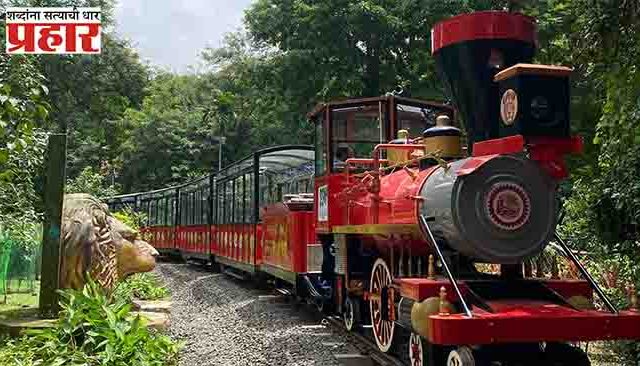'वन राणी' टॉय ट्रेन पुन्हा सुरू होणार