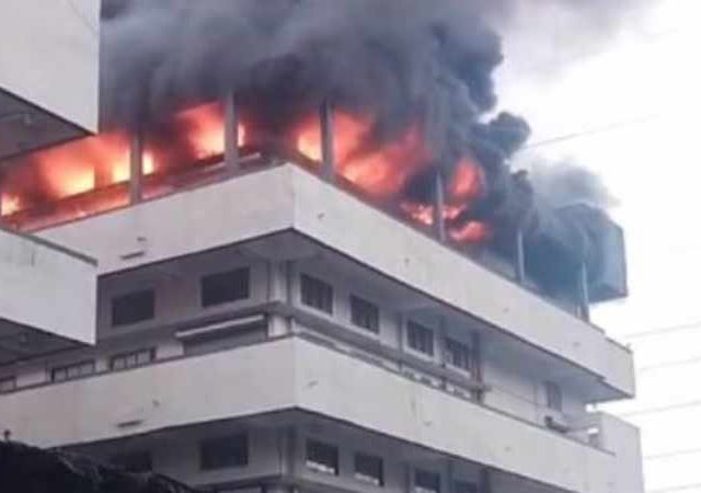 Vasai Factory Fire: वसईत कारखान्याला भीषण आग