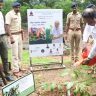 मुंबईत केली दुर्मिळ वृक्षांची लागवड