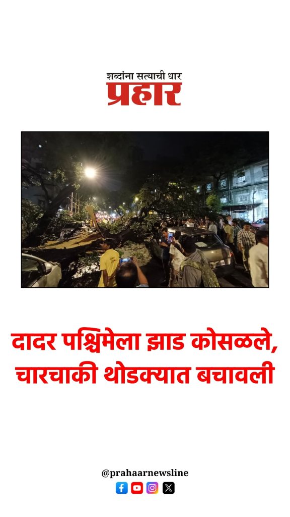 दादर पश्चिमेला झाड कोसळलं, चारचाकी थोडक्यात बचावली