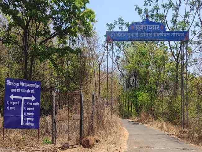 गावची जमीन गावातच, मोरवणे ग्रामसभेच्या ठरावाची सर्वत्र चर्चा
