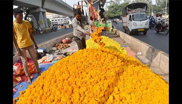 दसऱ्याच्या मुहूर्तावर झेंडूची फुले महागली