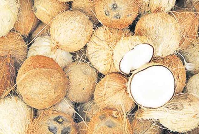 नारळासाठी ४५ रुपयांची फोडणी; आवक घटल्याने मुंबईकरांना भुर्दंड