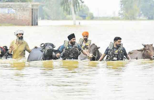 ‘बुडता’ पंजाब