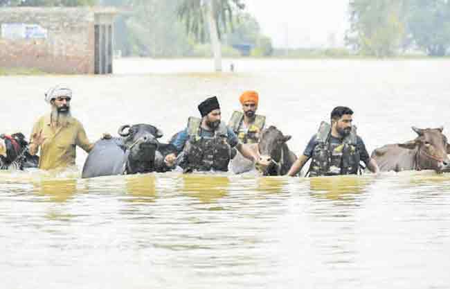 ‘बुडता’ पंजाब