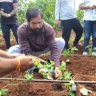 Eknath Shinde : उपमुख्यमंत्री एकनाथ शिंदे थेट शेतात; दरेगावात स्वतःच्या हाताने लावली ३००० स्ट्रॉबेरी रोपे अन् म्हणाले, 'माझे पाय'...