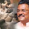 Pratap Sarnaik : अतिवृष्टीमुळे उद्ध्वस्त झालेल्या संसाराला मिळाला आधार; सरनाईक कुटुंबाकडून शेतकऱ्यांना '१०१ गोवंश' भेट!