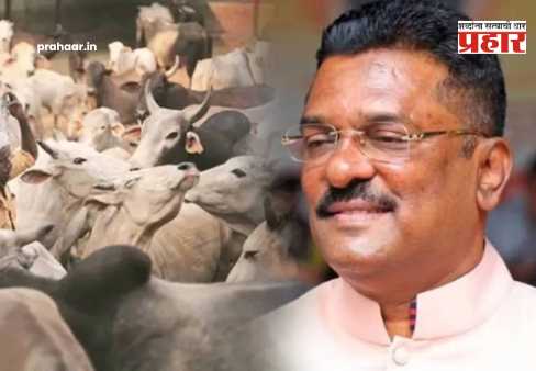 Pratap Sarnaik : अतिवृष्टीमुळे उद्ध्वस्त झालेल्या संसाराला मिळाला आधार; सरनाईक कुटुंबाकडून शेतकऱ्यांना ‘१०१ गोवंश’ भेट!