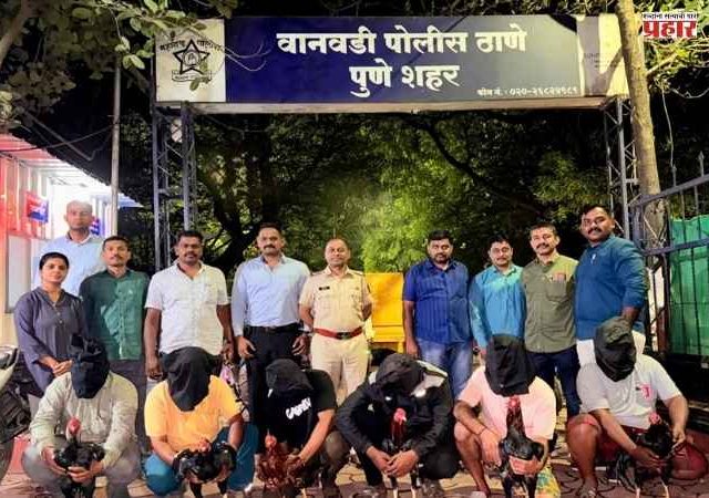 पुण्यात फायटर कोंबड्यांची झुंज लावणे भोवले