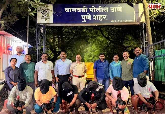पुण्यात फायटर कोंबड्यांची झुंज लावणे भोवले