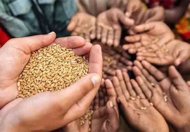 ८१ कोटी लोकांसाठी अन्नसुरक्षा: भारत सरकारकडून जागतिक अन्न दिनानिमित्त खास योजना