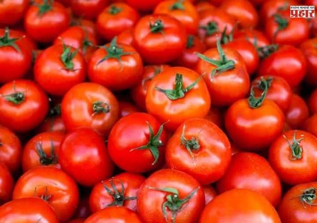 अफगाणिस्तानने पाकिस्तानमध्ये अचूक फेकला 'टोमॅटो बॉम्ब'