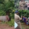 साळीस्ते खून प्रकरणात नवा ट्विस्ट!  मृतदेह डॉक्टर पेशातील व्यक्तीचा असल्याची चर्चा ?