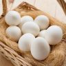 US Egg Price Scam : अंड्यांच्या किमतीत ७०% वाढ; अमेरिकेत ३ कंपन्यांवर कारवाई, ५.३ कोटी अंडी मोफत वाटावी लागणार