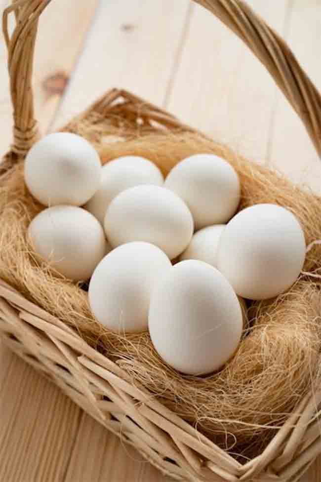 US Egg Price Scam : अंड्यांच्या किमतीत ७०% वाढ; अमेरिकेत ३ कंपन्यांवर कारवाई, ५.३ कोटी अंडी मोफत वाटावी लागणार