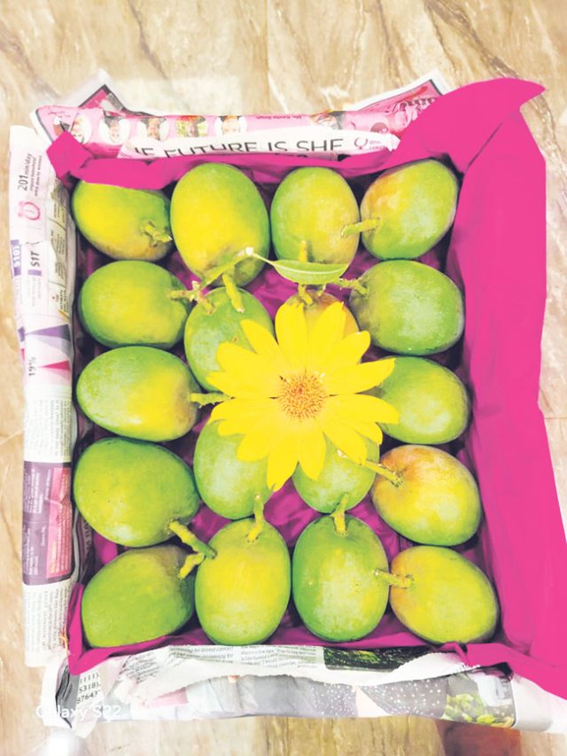 ऐन दिवाळीत हापूसची पहिली पेटी देवगडहून दाखल