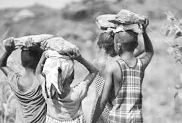 एक हजार रुपयांच्या मोबदल्यात ६ वर्षाच्या बालकाला जुंपले कामाला !