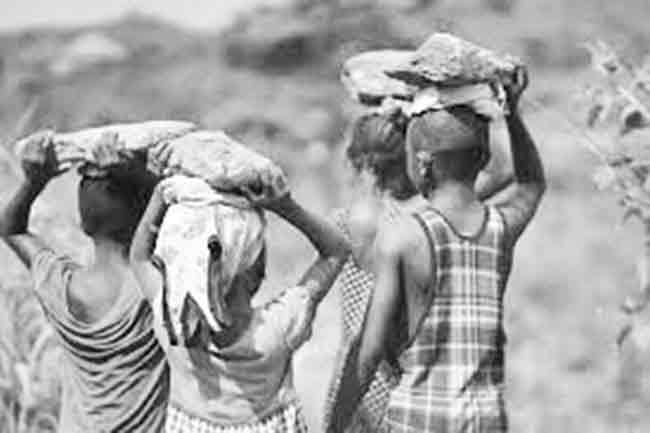 एक हजार रुपयांच्या मोबदल्यात ६ वर्षाच्या बालकाला जुंपले कामाला !