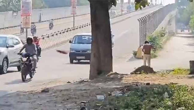 ईस्टर्न फ्रीवेसाठी मुंबईतील ३२० झाडे तोडणार!