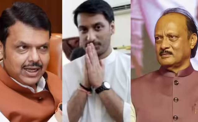 पार्थ पवार प्रकरणात काय म्हणाले मुख्यमंत्री फडणवीस ?