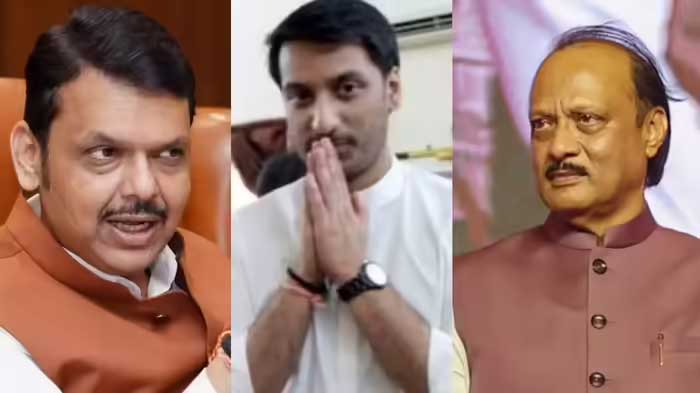 पार्थ पवार प्रकरणात काय म्हणाले मुख्यमंत्री फडणवीस ?