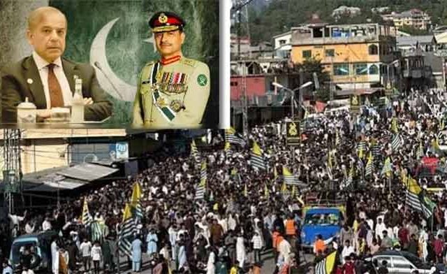 पाकिस्तानात 'Gen Z'चा भडका! युवा पिढी रस्त्यावर उतरल्याने शाहबाज शरीफ आणि मुनीर यांची धाकधूक वाढली