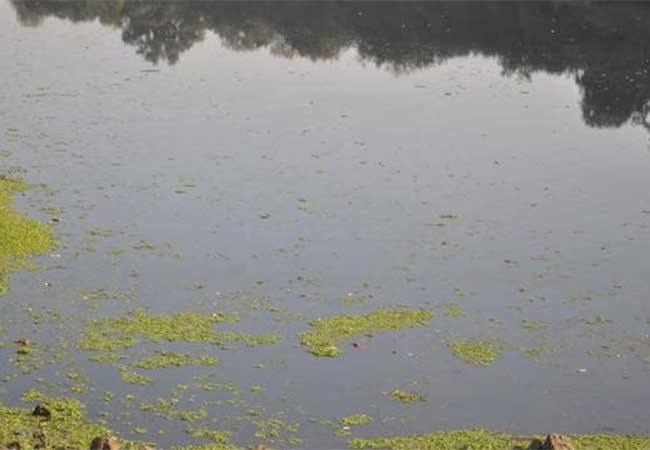 सांडपाण्यामुळे कुंडलिका नदीचे पाणी प्रदूषित
