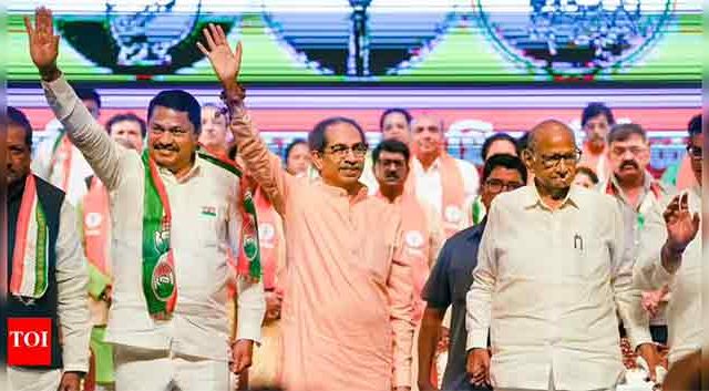 अलिबाग नगरपालिका निवडणुकीत महाविकास आघाडीत बिघाडी