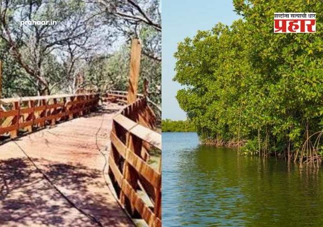 Mumbai : विकेंड प्लॅन तयार करा! शहरात लवकरच सुरू होणार एक नवं पर्यटन स्थळ; पण कधी? जाणून घ्या सविस्तर माहिती