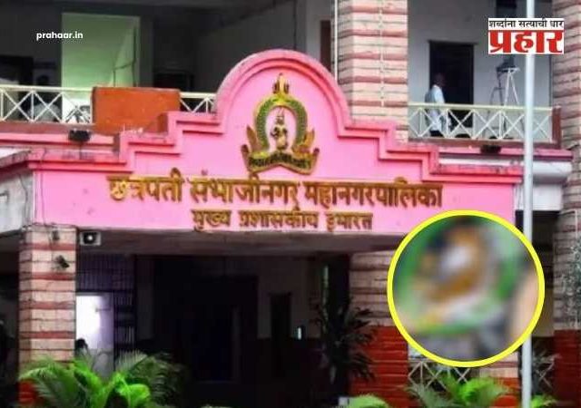 Sambhajinagar : धक्कादायक! जेवायला बसले अन् गवारच्या भाजीत आढळली पाल, छत्रपती संभाजीनगरमध्ये २८ विद्यार्थ्यांना विषबाधा;