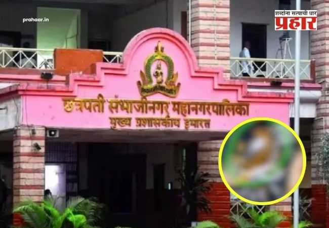 Sambhajinagar : धक्कादायक! जेवायला बसले अन् गवारच्या भाजीत आढळली पाल, छत्रपती संभाजीनगरमध्ये २८ विद्यार्थ्यांना विषबाधा;