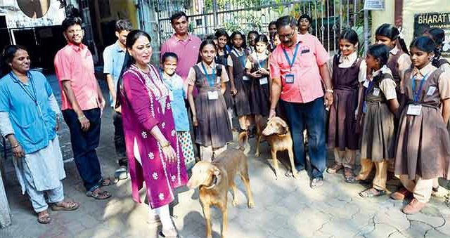 मुंबईच्या शाळेने न्यायालयाचा आदेश धुडकावला! 'त्या' कुत्र्यांना आश्रयस्थानी पाठवण्यास 'ट्युलिप स्कूल'चा नकार
