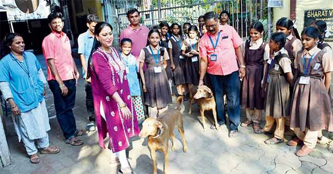 मुंबईच्या शाळेने न्यायालयाचा आदेश धुडकावला! ‘त्या’ कुत्र्यांना आश्रयस्थानी पाठवण्यास ‘ट्युलिप स्कूल’चा नकार