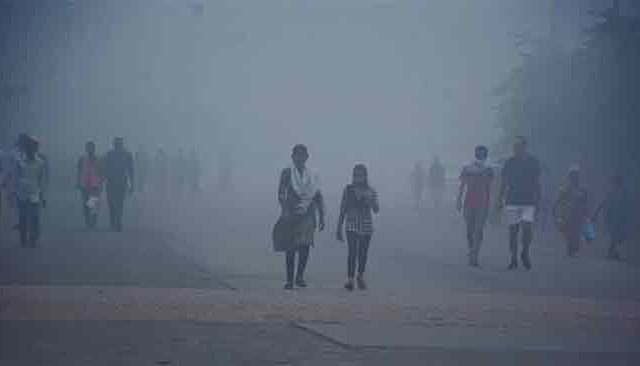 राज्यात अनेक जिल्ह्यांना आज थंडीचा इशारा