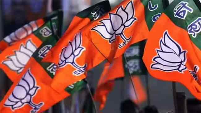 महाआघाडीत खळबळ; भाजपकडून ‘स्वबळा’ची भूमिका ?