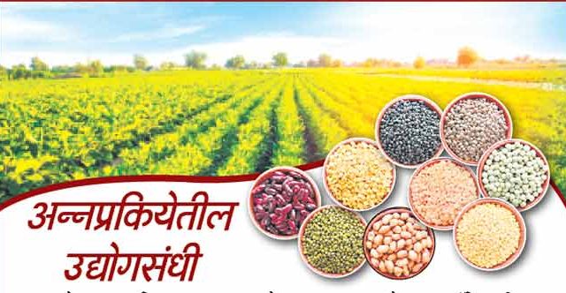 अन्नप्रकियेतील उद्योगसंधी