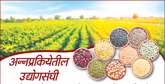 अन्नप्रकियेतील उद्योगसंधी