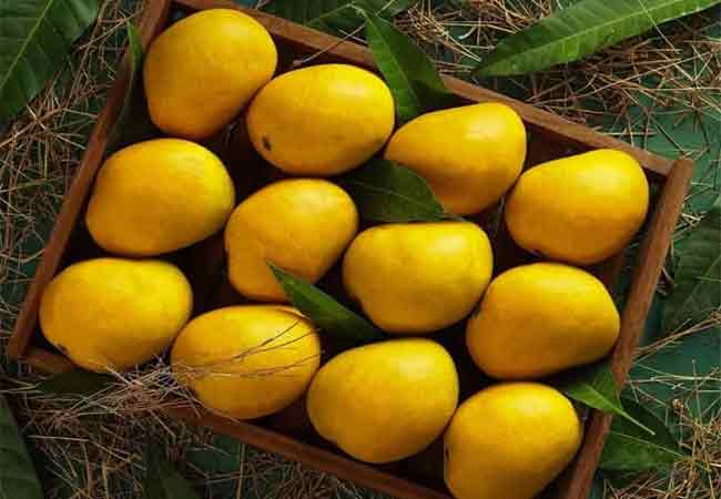 हापूस आंबा लांबणीवर…!
