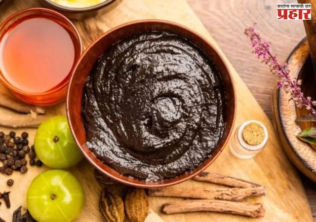 Homemade Chyawanprash: देशी च्यवनप्राश हिवाळ्यात वारंवार होणारे आजार टाळेल घरगुती, जाणून घ्या सोपी रेसिपी