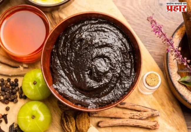 Homemade Chyawanprash: देशी च्यवनप्राश हिवाळ्यात वारंवार होणारे आजार टाळेल घरगुती, जाणून घ्या सोपी रेसिपी