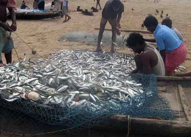 मच्छिमारांना कर्जावर चार टक्के व्याज सवलत