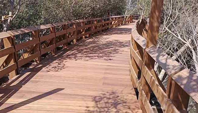 गोराईत उभारले जाणार भारतातील पहिले मॅग्रोव्ह पार्क