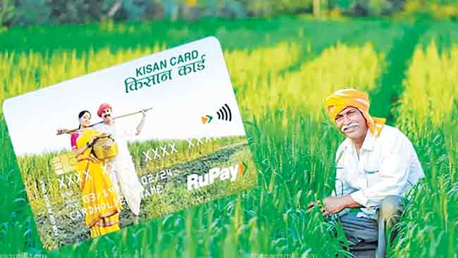 किसान क्रेडिट कार्डधारकांना राज्य शासनाकडून चार टक्के व्याज सवलत