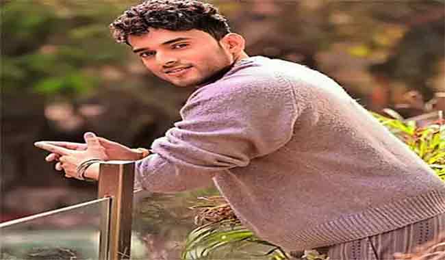 इन्स्टाग्राम स्टारचा घोटाळा; ईडीची धाड सांगून तरुणीला ९२ लाखांचा गंडा