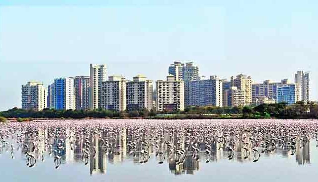 नवी मुंबईत सिडकोच्या ४ हजार ५०८ सदनिका विक्रीसाठी उपलब्ध