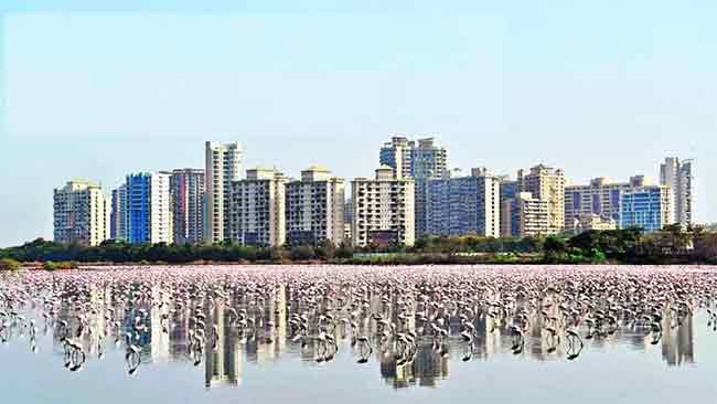 नवी मुंबईत सिडकोच्या ४ हजार ५०८ सदनिका विक्रीसाठी उपलब्ध